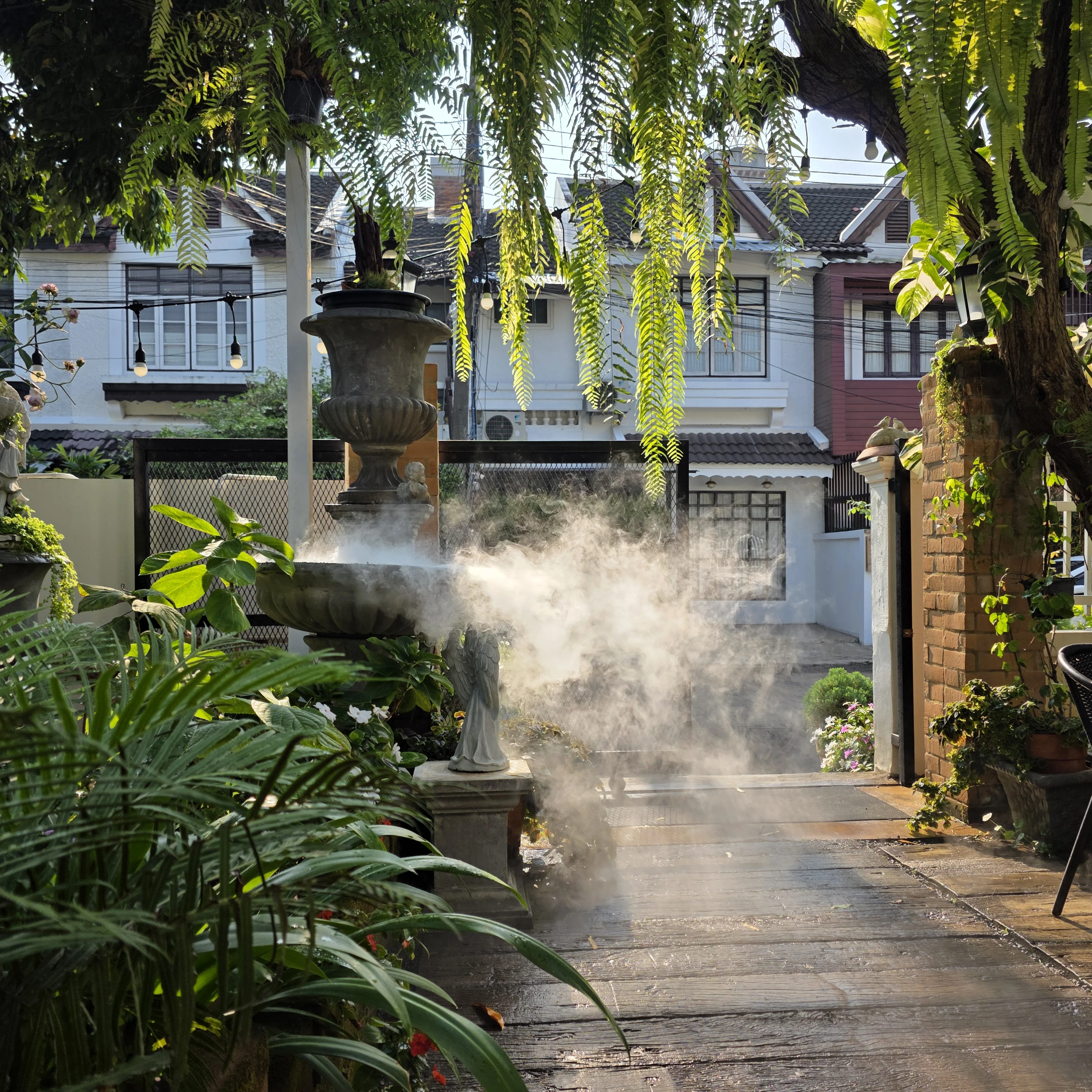 Beginning of DN Wellness