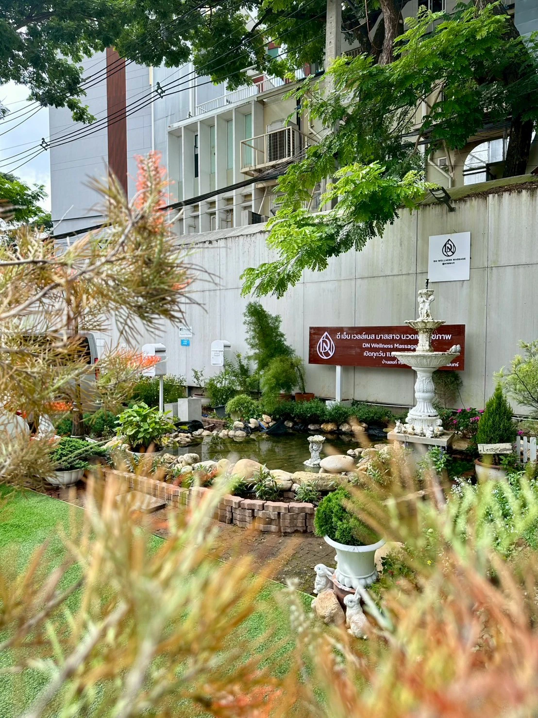 Growth of DN Wellness