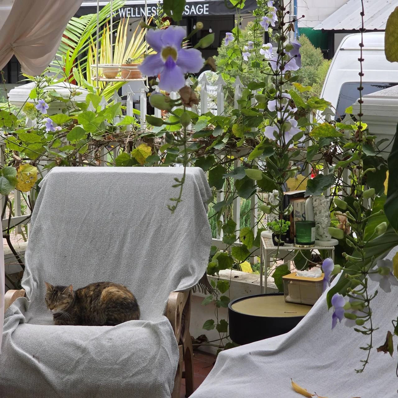 Life in the Quiet Garden