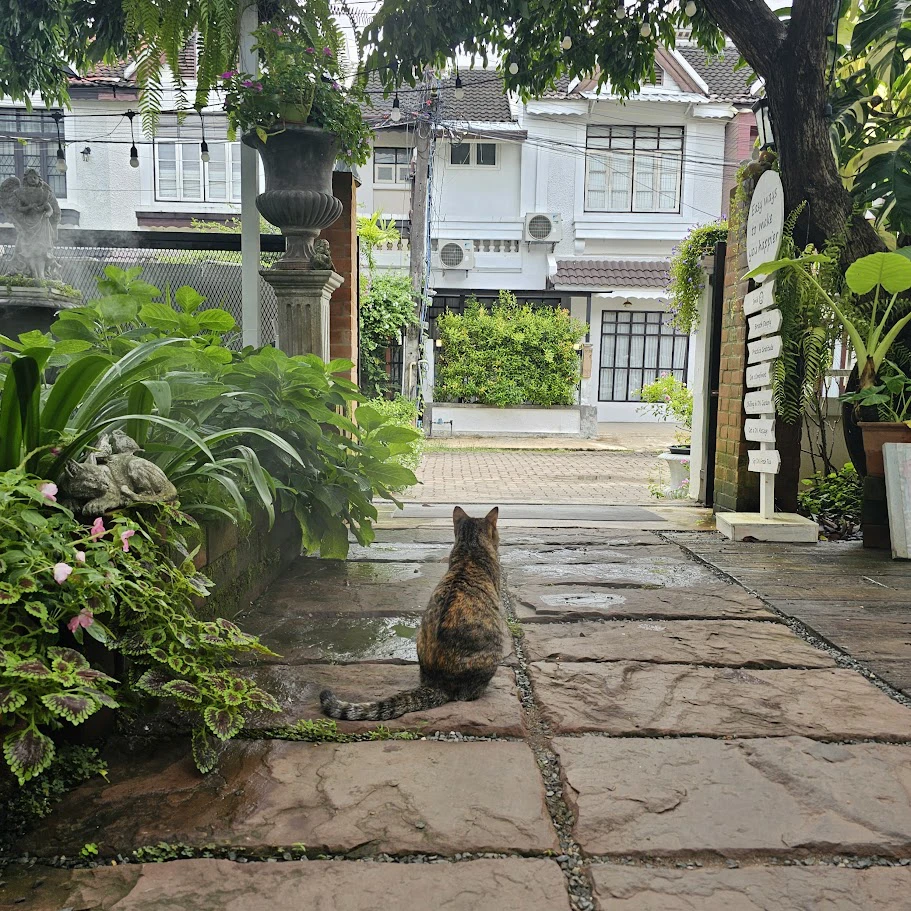 Life in the Quiet Garden