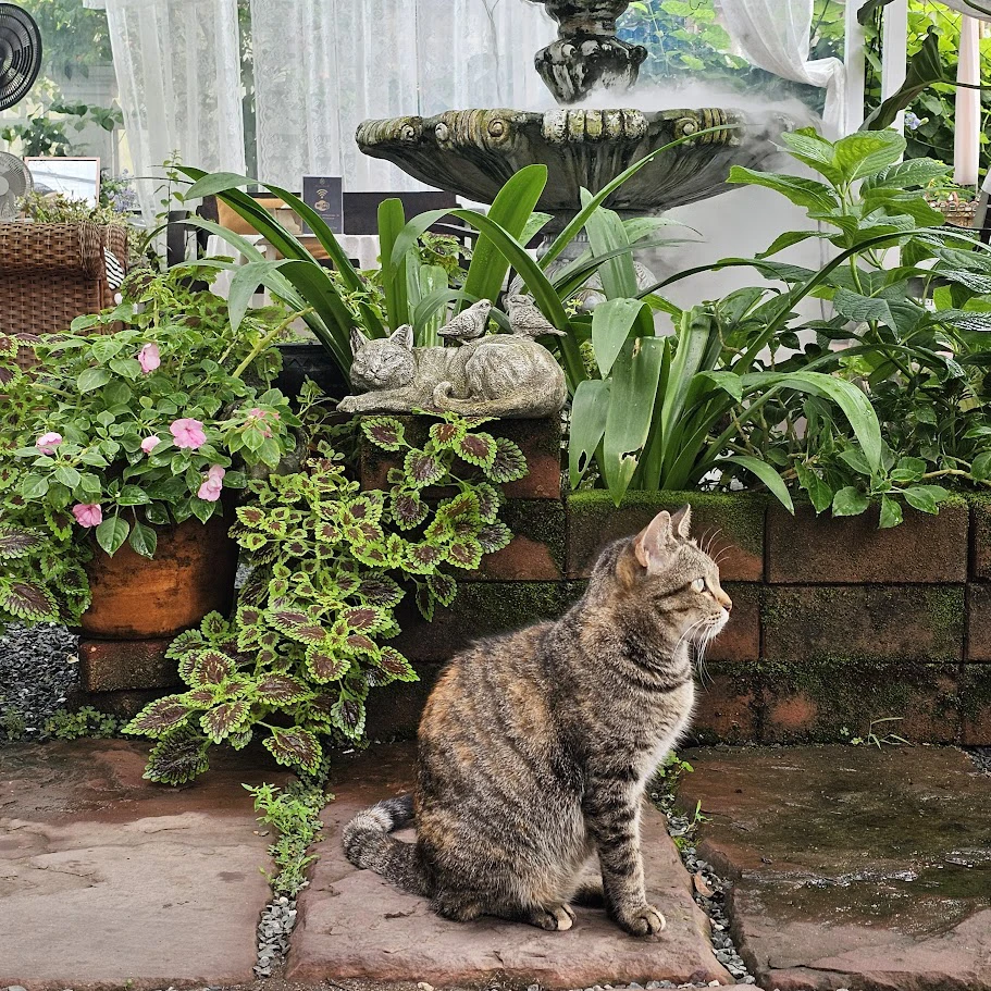 Life in the Quiet Garden